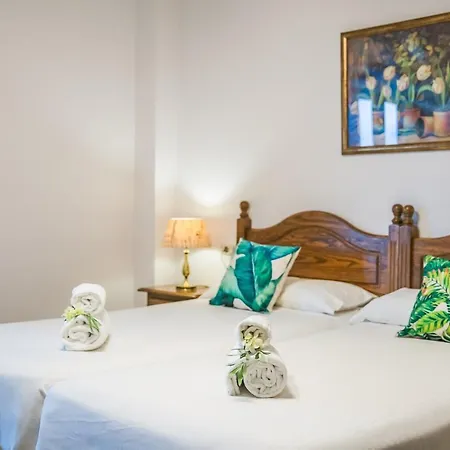 Ideal Mallorca - El Palmeral